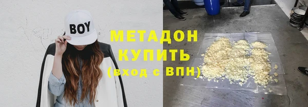 крисы Бородино