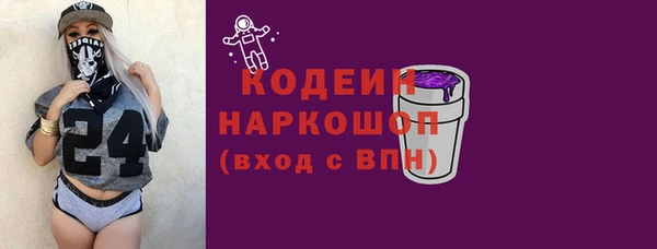 крисы Бородино