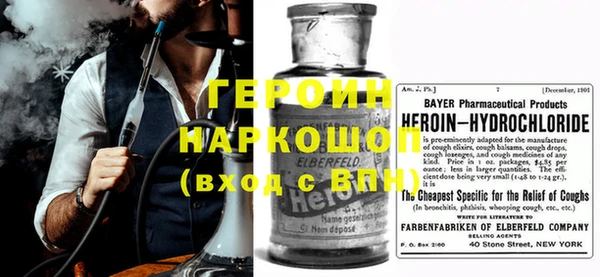 крисы Бородино
