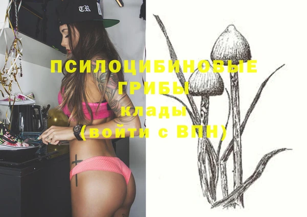 гидропоника Бронницы
