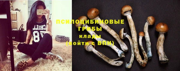 ECSTASY Бугульма
