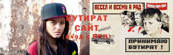 крисы Бородино