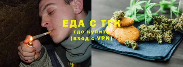 крисы Бородино