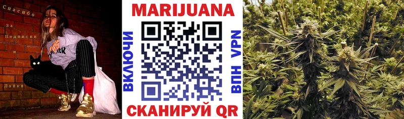 Шишки марихуана SATIVA & INDICA  Купить где  Бавлы 